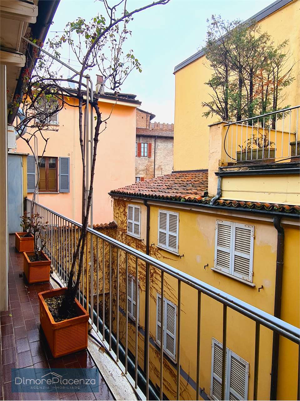 imm_6887-20240306115002-1280