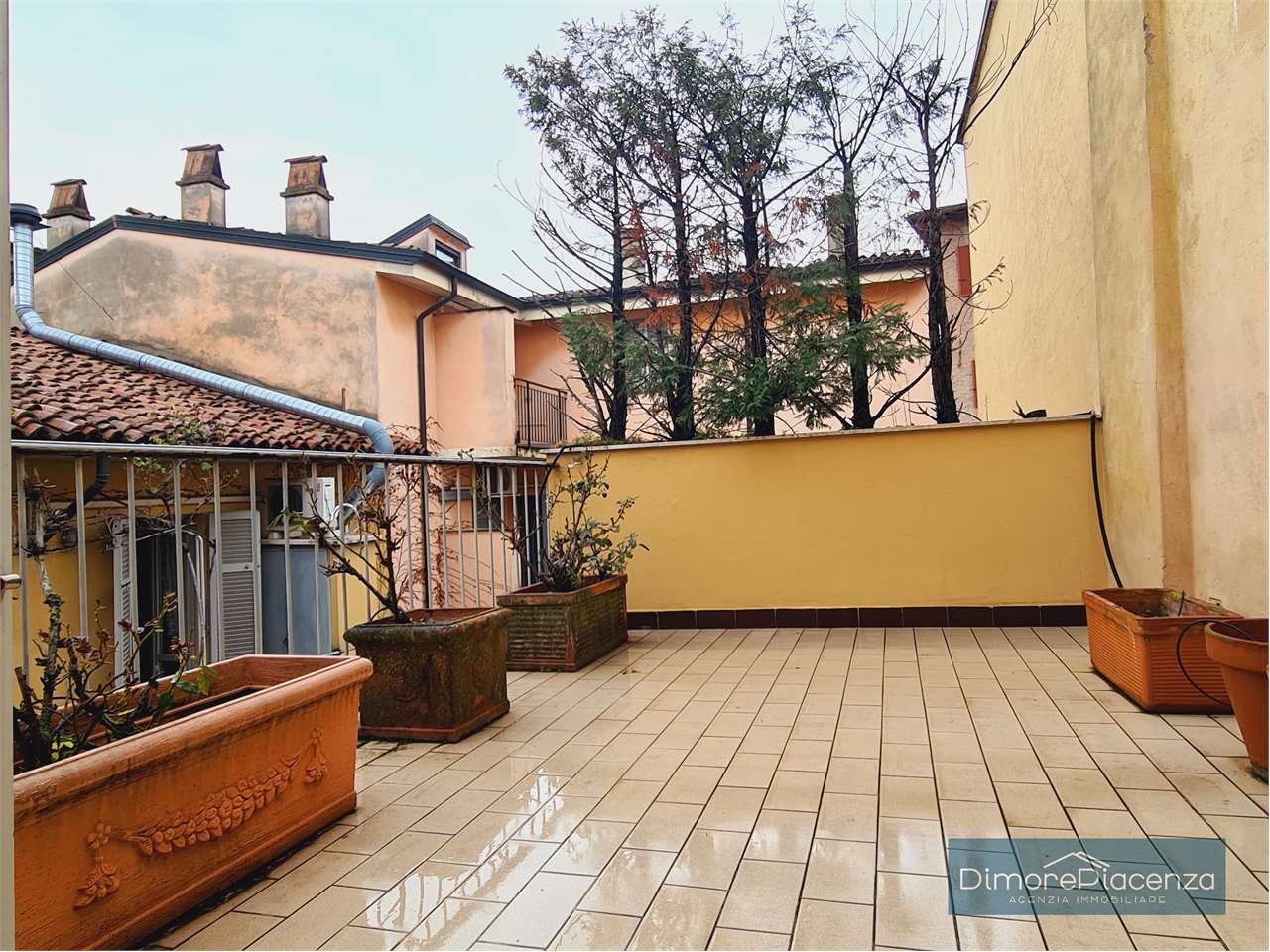 imm_6892-20240306115014-1280