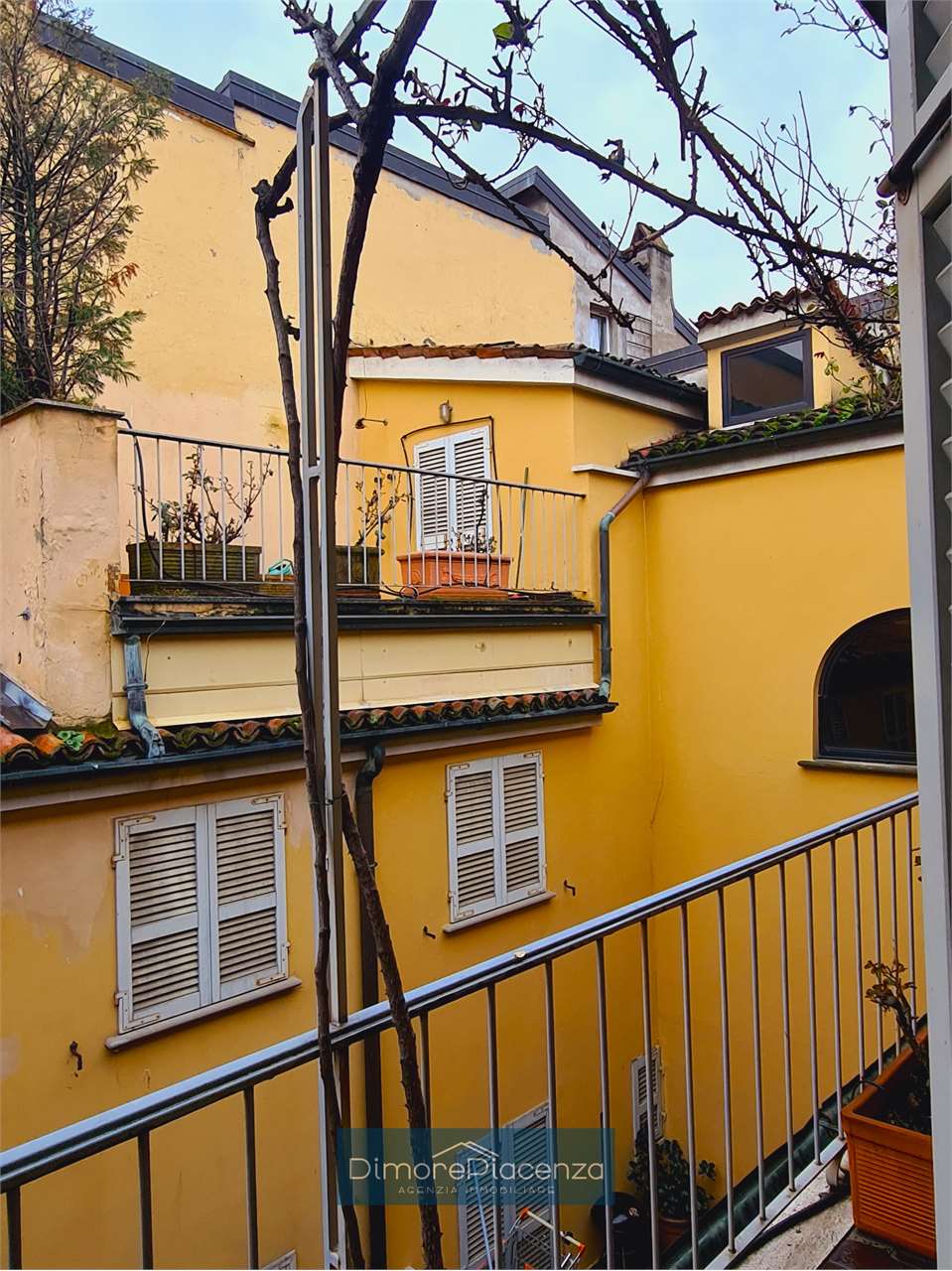 imm_6894-20240306115021-1280