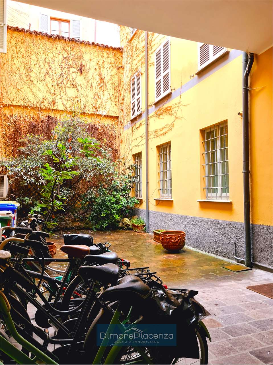 imm_6899-20240306115037-1280