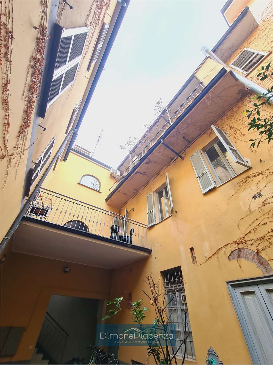 imm_6900-20240306115040-1280