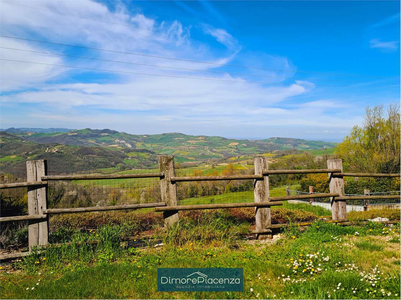 imm_7206-20240406170429-1280