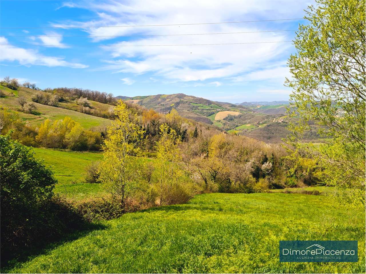 imm_7209-20240406170425-1280