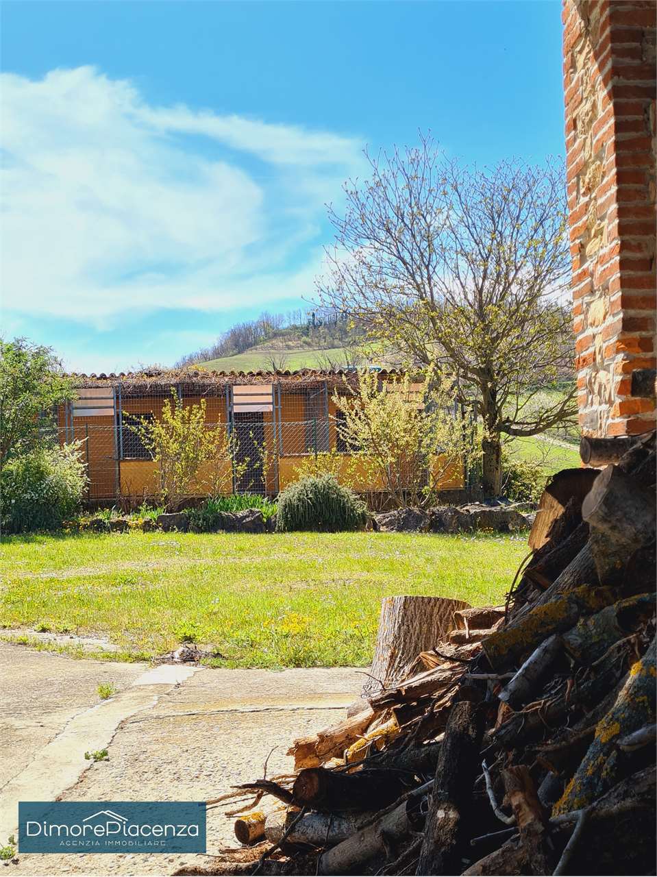 imm_7216-20240406170438-1280