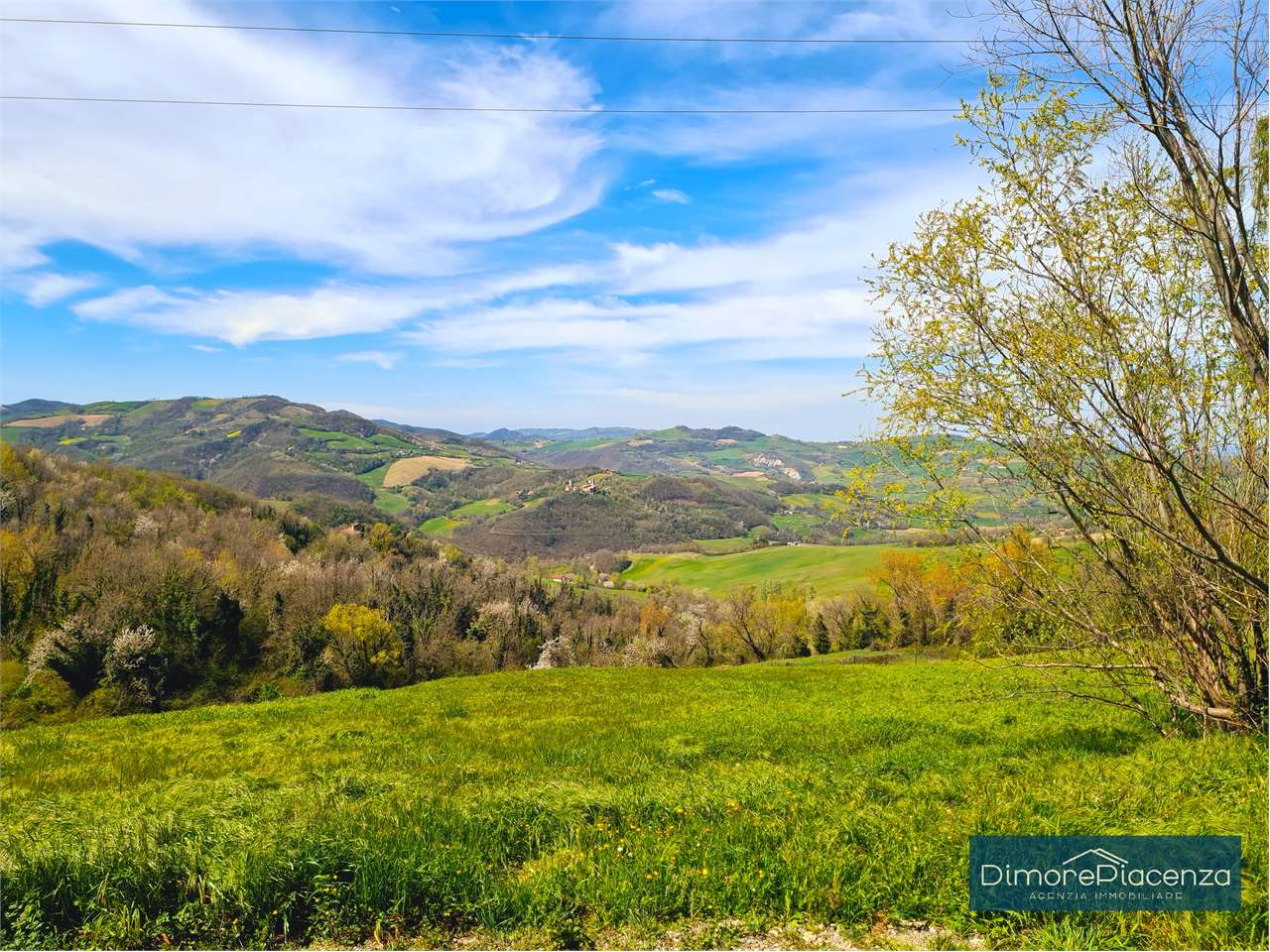 imm_7221-20240406170431-1280