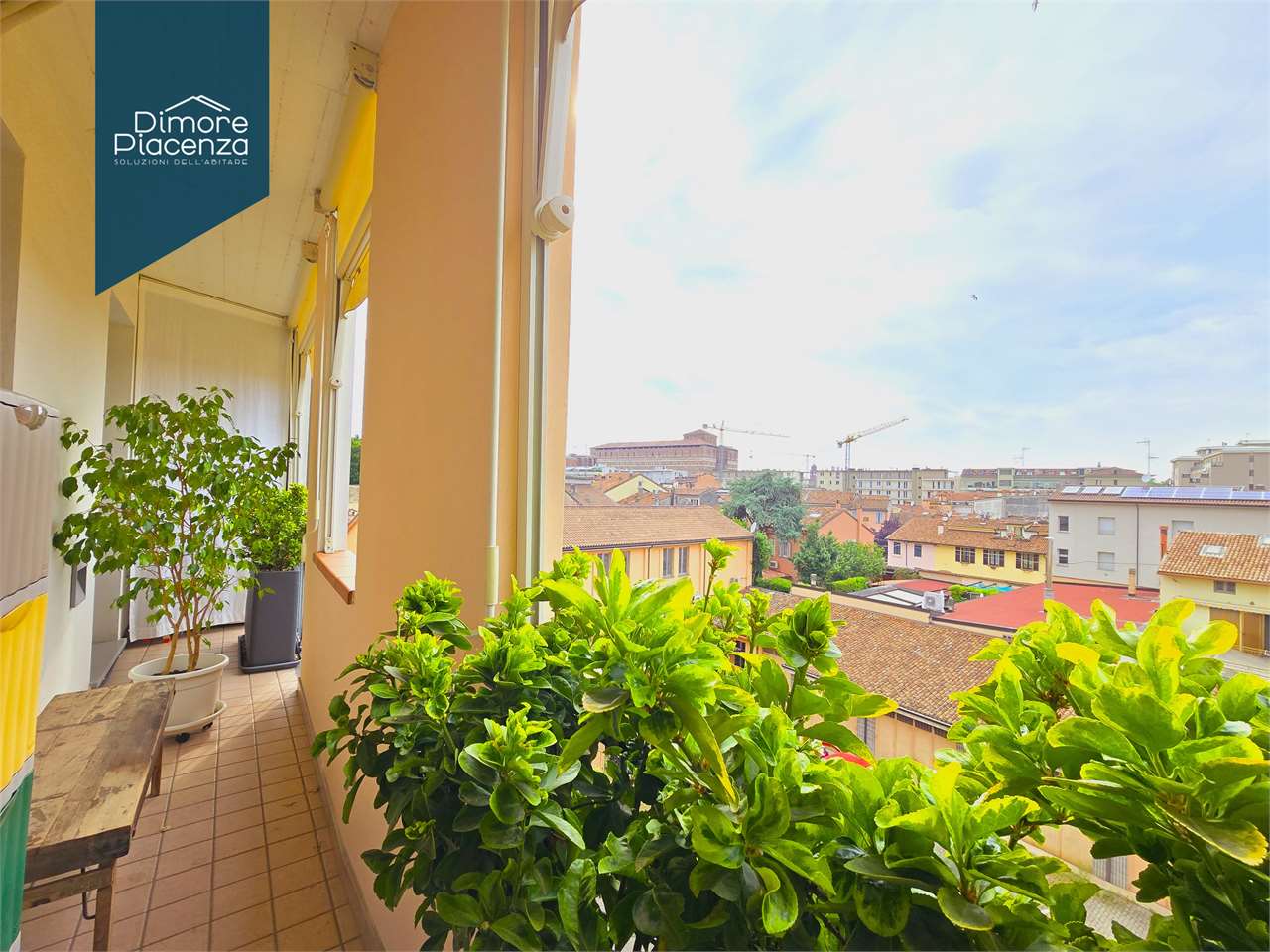 imm_10382-20250528193405-1280