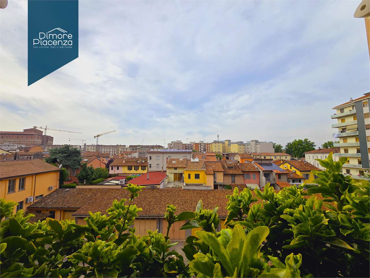 imm_10383-20250528193405-1280