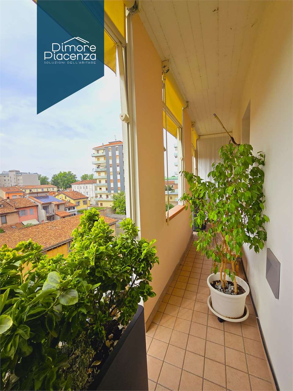 imm_10384-20250528193405-1280