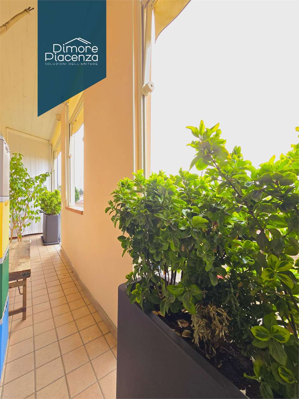 imm_10401-20250528193406-1280