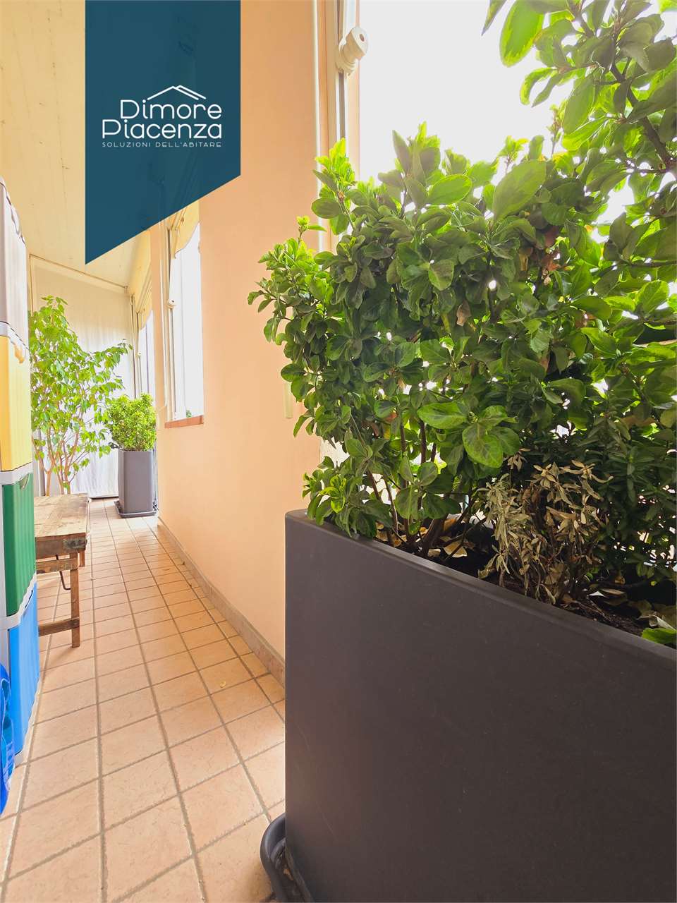 imm_10402-20250528193406-1280