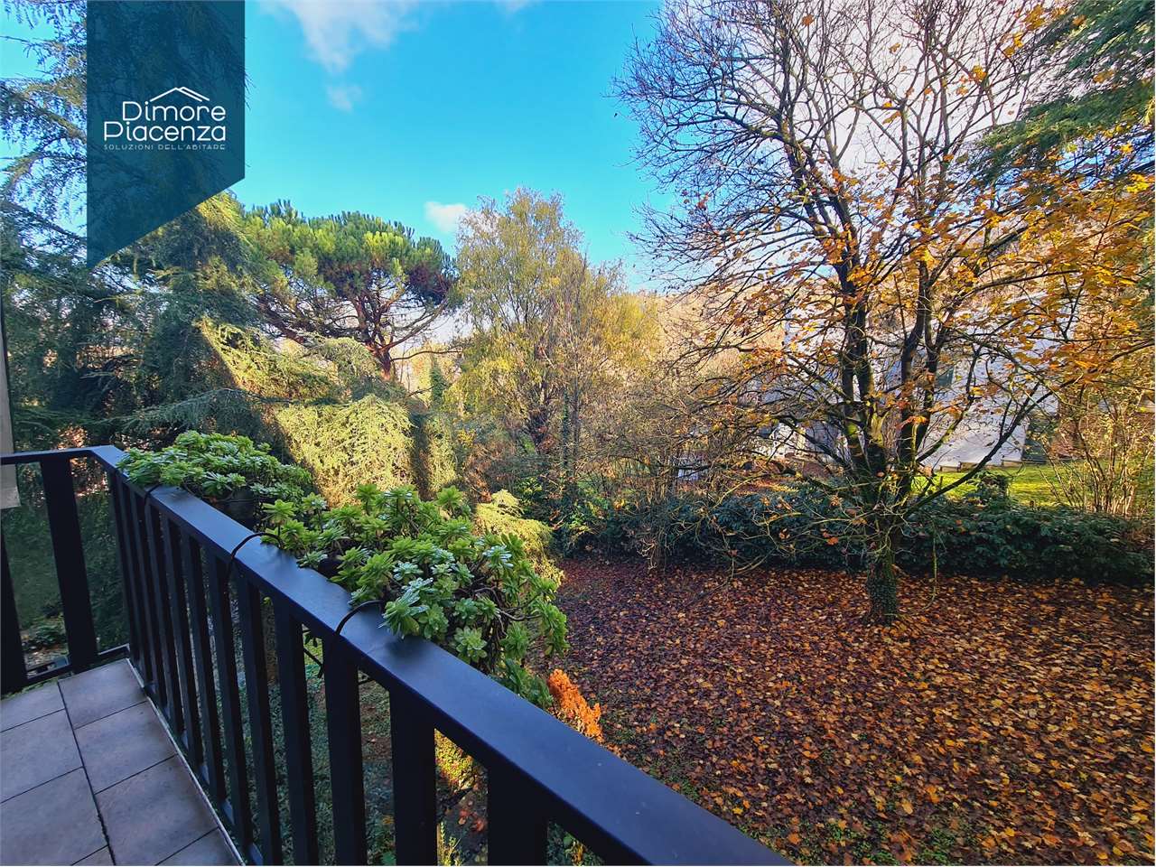 imm_12062-20251125172826-1280-