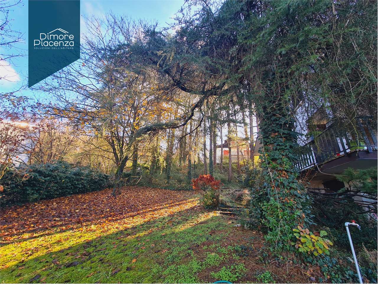 imm_12089-20251125172854-1280-